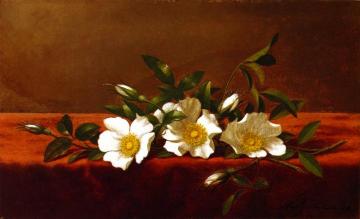 Cherokee Roses Artwork by Martin Johnson Heade