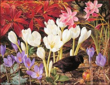 The Artist's Garden Artwork by Raymond Booth