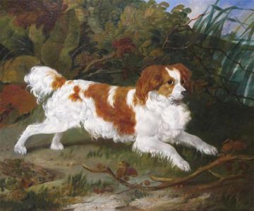 Untitled Artwork by Richard Ansdell