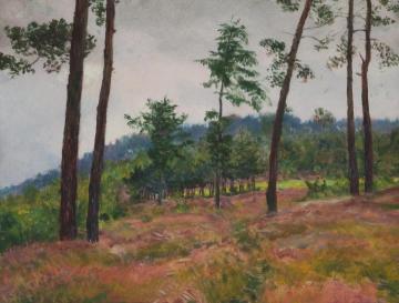 On the Edge of a Forest Artwork by František Kaván