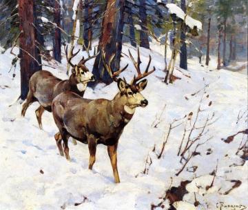 Mule Deer In The Woods Artwork by Carl Rungius