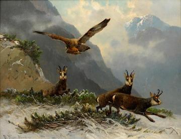 Eagles And Wild Goats In The Mountains Artwork by Moritz Muller