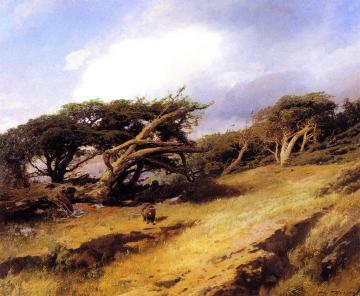 Monterey Pines with Bears Artwork by Herman Herzog