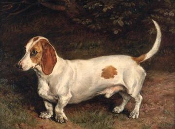 A Favorite Dachshund Artwork by Frank Paton