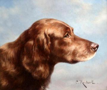 Irish Setter Artwork by Carl Reichert
