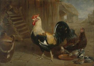Poultry Artwork by Frederick Goodall