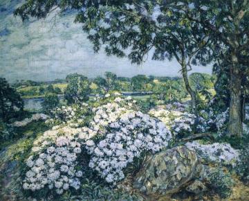 Laurel Artwork by Edward Francis Rook