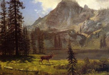 Call of the Wild Artwork by Albert Bierstadt