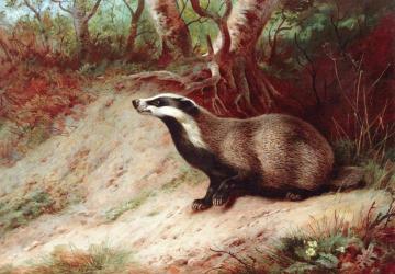 Home Territory Artwork by Archibald Thorburn