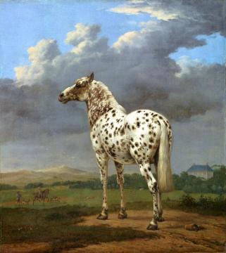 The Piebald Horse Artwork by Paulus Potter