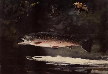 Trout Breaking Artwork by Winslow Homer