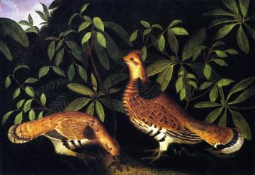 Two Ruffed Grouse Artwork by Rubens Peale