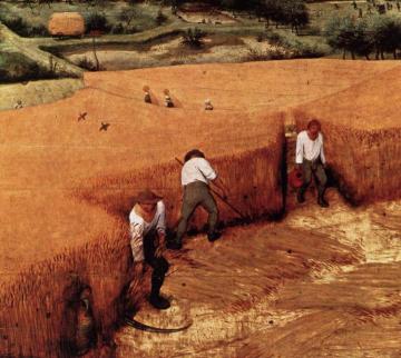 The Corn Harvest (detail) Artwork by Pieter Bruegel the Elder