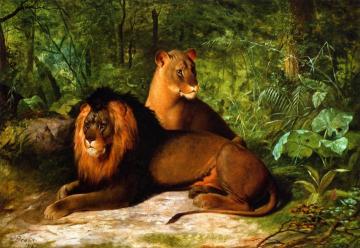 Lion And Lioness Artwork by James Henry Beard
