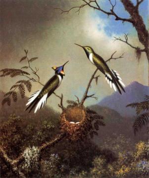 Hummingbirds At Their Nest - Sun Gems Artwork by Martin Johnson Heade