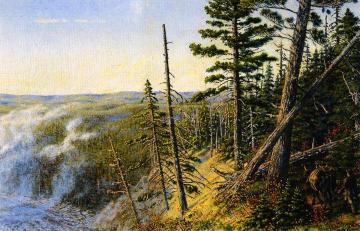 Pack Ox in the Mountains Artwork by William George Richardson Hind