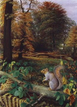 Squirrel Artwork by Raymond Booth