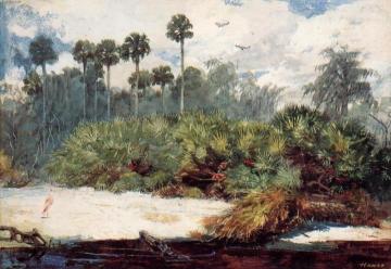 In A Florida Jungle Artwork by Winslow Homer