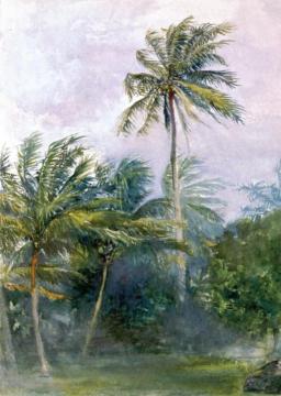 Palms in Storm, with rain, Vaiala, Samoa Artwork by John La Farge
