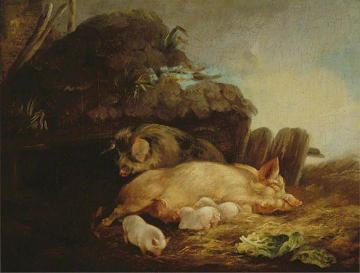 Litter of Pigs Artwork by George Morland