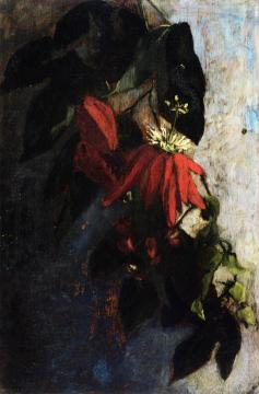 Passion Flowers Artwork by Sarah Wyman Whitman