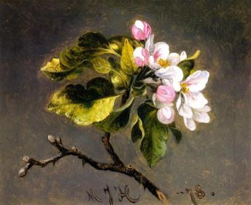 Apple Blossoms Artwork by Martin Johnson Heade