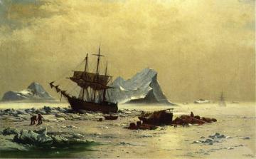 Among The Ice Floes Artwork by William Bradford