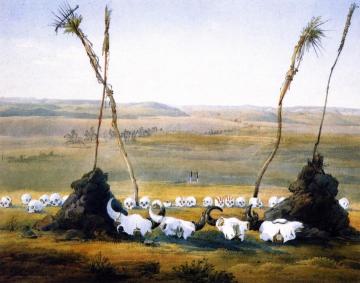 Mandan Shrine Artwork by Karl Bodmer