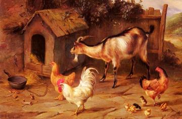 Fowl, Chicks And Goats By A Dog Kennel Artwork by Edgar Hunt