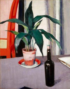 Aspidistra and Bottle on Table Artwork by Francis Campbell Boileau Cadell