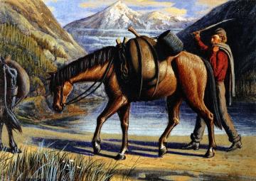 Pack Horse, Athabaska River, Rocky Mountains Artwork by William George Richardson Hind