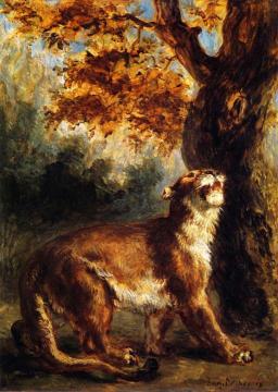 Lioness Stalking Its Prey Artwork by Eugène Delacroix