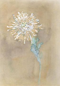 Chrysanthemum Artwork by Piet Mondrian