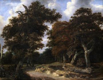 Road through an oak Forest Artwork by Jacob van Ruisdael