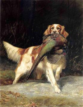 Springer Spaniel with Pheasant Artwork by Alexander Pope