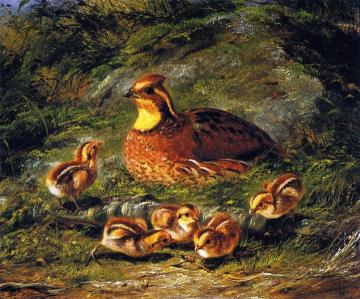 Hen, Chicks and Ladybug Artwork by Arthur Fitzwilliam Tait