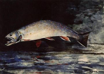 A Brook Trout Artwork by Winslow Homer