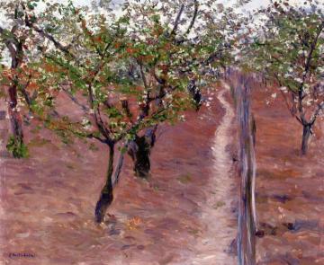 Orchard, Trees in Flower, Petit Gennevilliers Artwork by Gustave Caillebotte