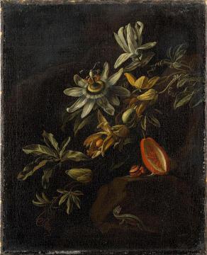 Still Life with Passion Flowers Artwork by Elias van den Broeck