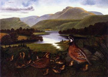 Quail in Landscape Artwork by Rubens Peale