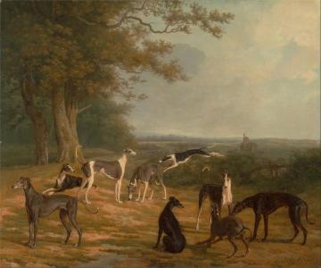 Nine Greyhounds In A Landscape Artwork by Jacques-Laurent Agasse