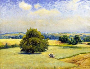 Harvest Fields Artwork by Mathias J. Alten