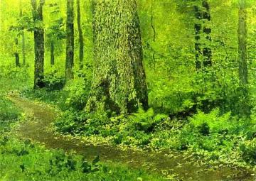 Footpath in a Forest, Ferns Artwork by Isaac Ilich Levitan