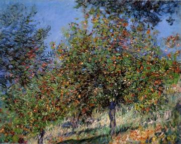Apple Trees on the Chantemesle Hill Artwork by Claude Oscar Monet