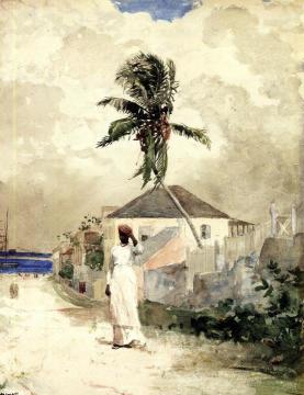 Along The Road, Bahamas Artwork by Winslow Homer