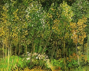 The Grove Artwork by Vincent Van Gogh