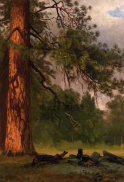 Yosemite Camp Kitchen Artwork by Albert Bierstadt