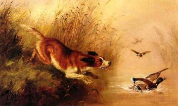 Spaniel Chasing Ducks Artwork by Arthur Fitzwilliam Tait