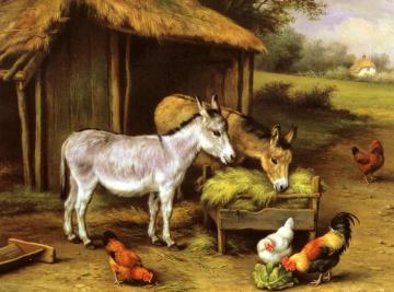 Chickens and Donkeys Feeding Outside a Barn Artwork by Edgar Hunt