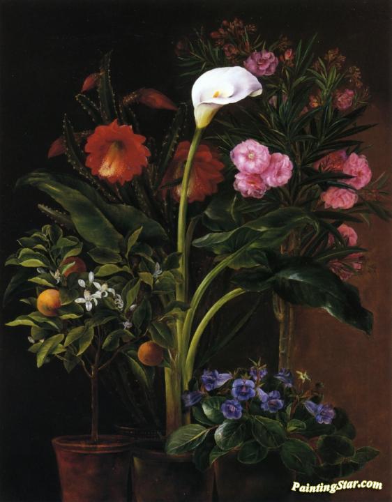 Still Life With Streptocarpus, Oleander, Calla Lily, Cactus Flowers And And Orange Tree Artwork by Louise Garlieb